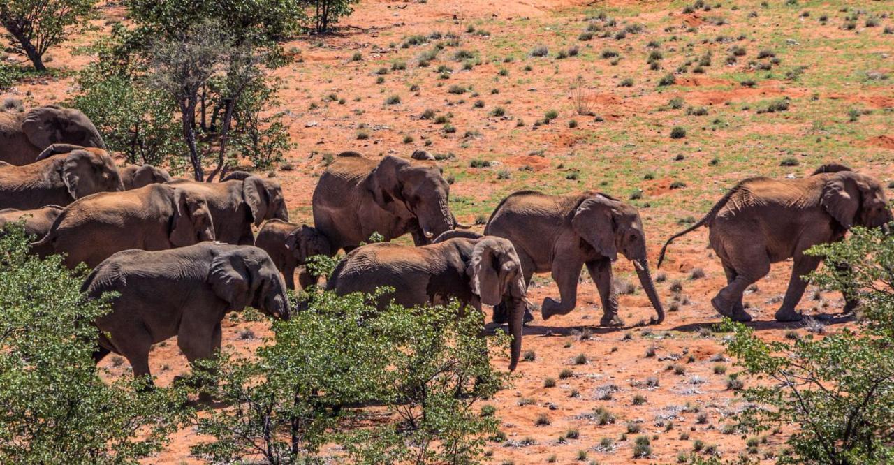 Grootberg Lodge Damaraland Luaran gambar