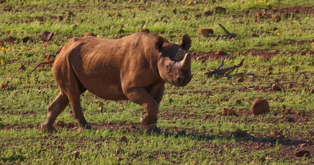 Grootberg Lodge Damaraland Luaran gambar