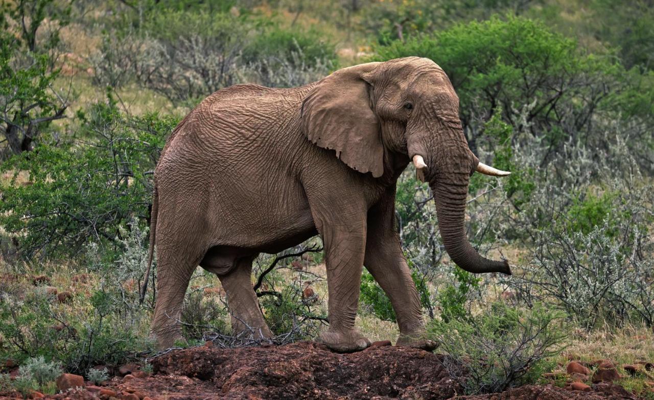 Grootberg Lodge Damaraland Luaran gambar