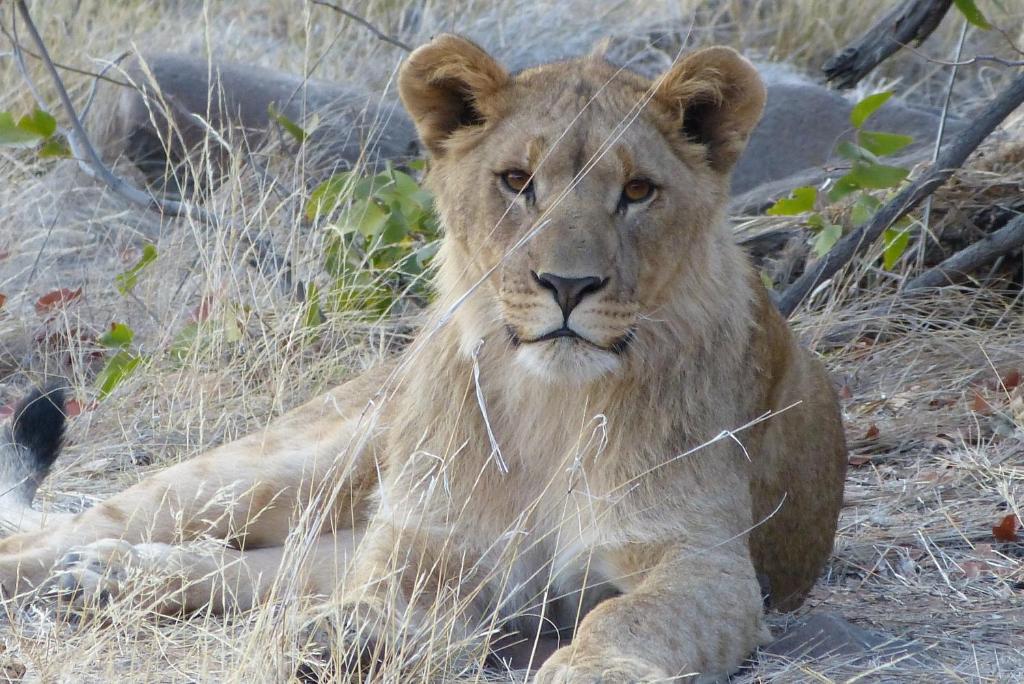 Grootberg Lodge Damaraland Luaran gambar