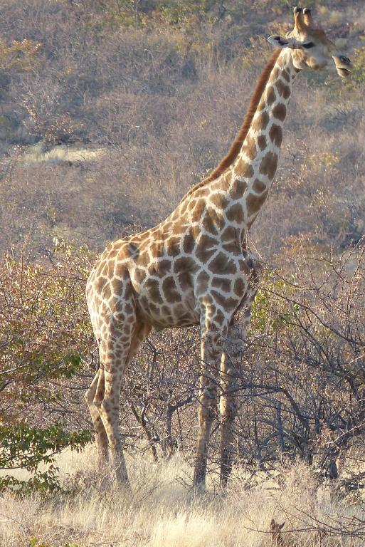 Grootberg Lodge Damaraland Luaran gambar