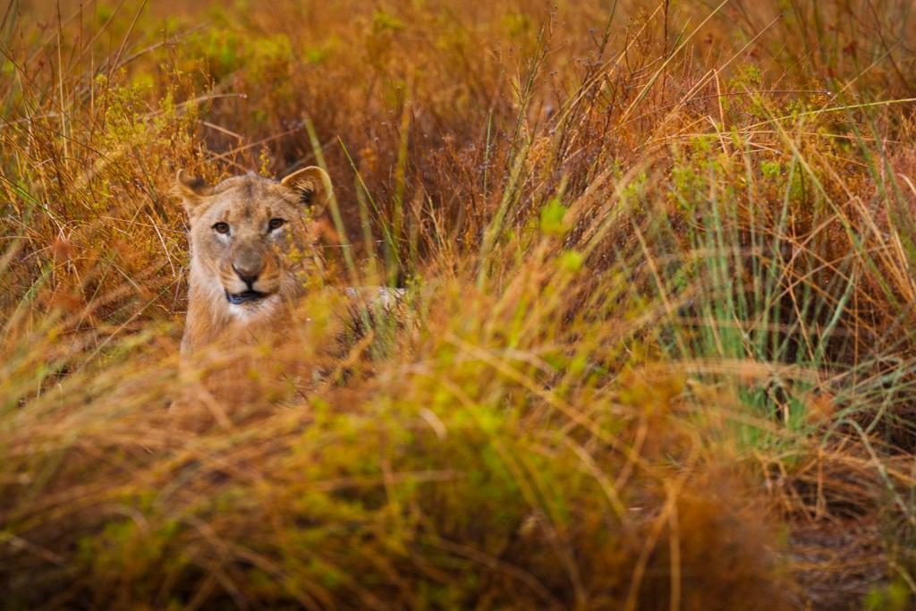Grootberg Lodge Damaraland Luaran gambar