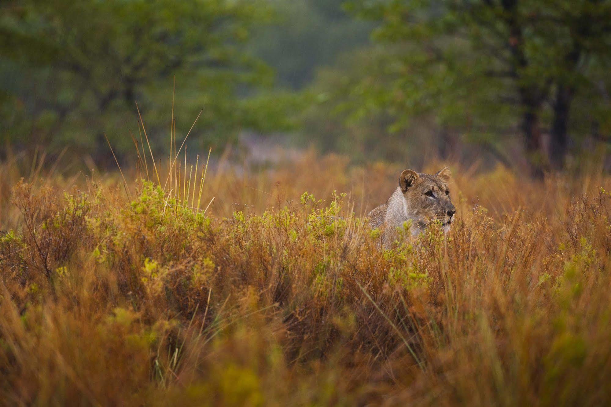 Grootberg Lodge Damaraland Luaran gambar