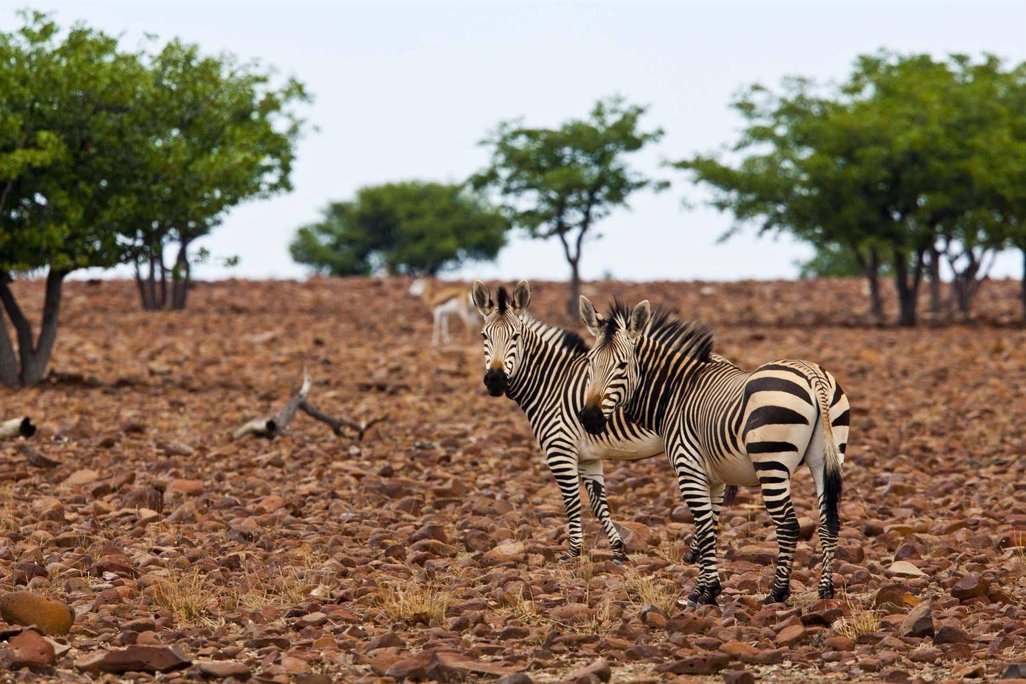 Grootberg Lodge Damaraland Luaran gambar