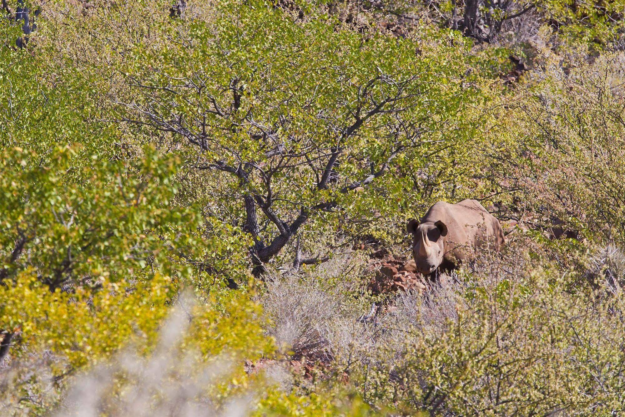 Grootberg Lodge Damaraland Luaran gambar